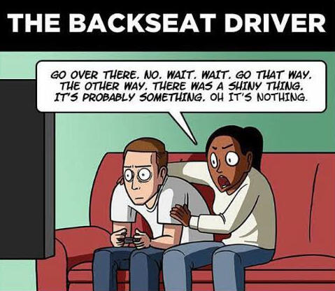 Backseat Gamer